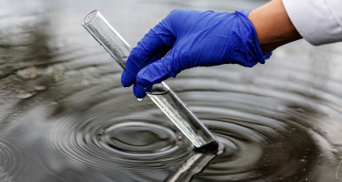 Terrestrial Water Body Water Quality Monitoring