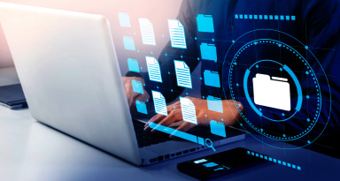 Application of Environmental Data and Information