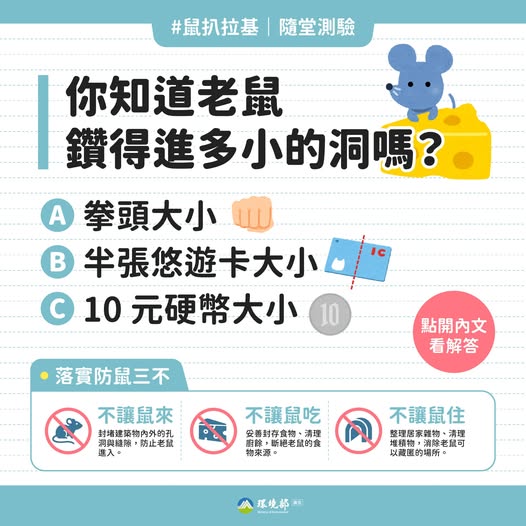 115-05-27 【你猜老鼠鑽得進多小的洞？】圖片
